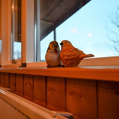 Thingvellir Cabin/Chalet Selfoss Exteriér fotografie