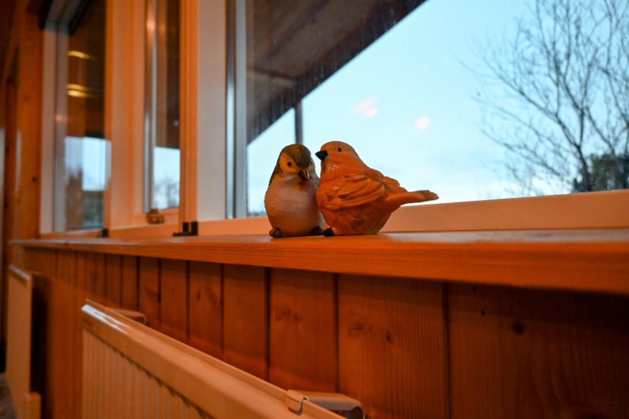Thingvellir Cabin/Chalet Selfoss Exteriér fotografie
