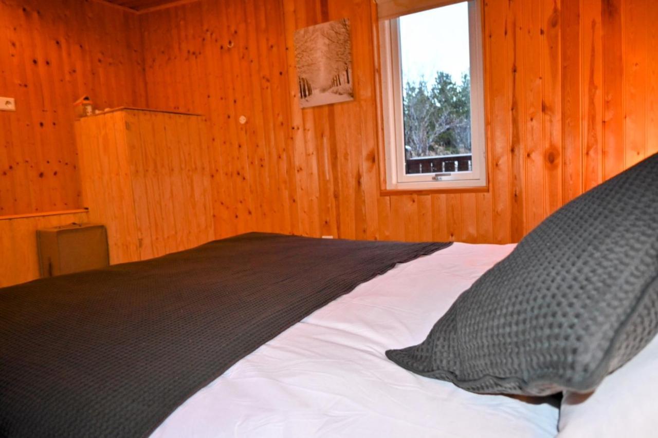 Thingvellir Cabin/Chalet Selfoss Exteriér fotografie