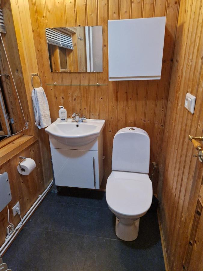 Thingvellir Cabin/Chalet Selfoss Exteriér fotografie